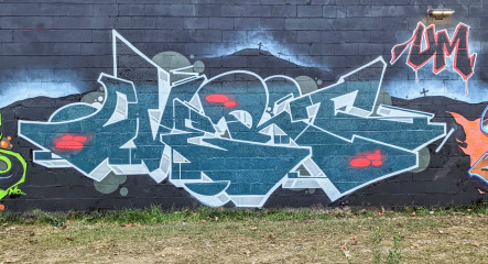 overt / Asheville / Walls
