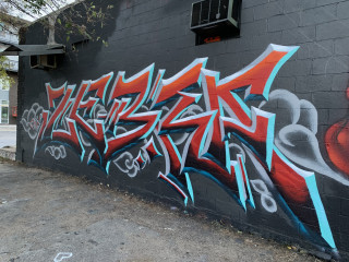 Zebra GNF / Dallas / Walls