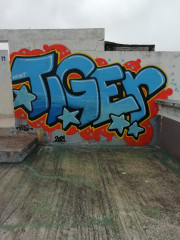 Tiger / Walls