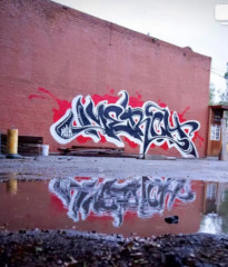 Merch / Walls