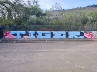 Tiger / Rijeka / Walls