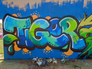 Tiger / Rijeka / Walls