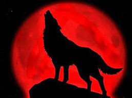 crimsion wolf