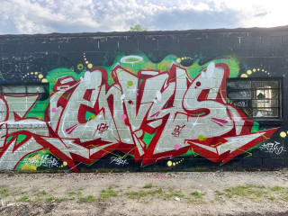 Envys / Walls