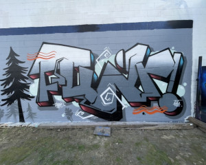 FUNR / Walls