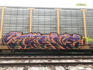 starve / Tampa / Freights