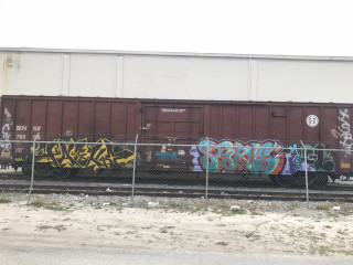 tasko and starve / Tampa / Freights