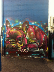 STRAKER- photo by @datsunville_graffiti / Perth / Street Art