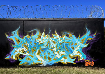 Tryst @xylene_fiend / Melbourne / Walls