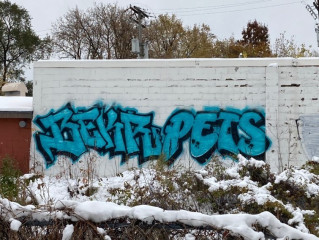 Beker/pets / Minneapolis / Walls