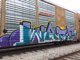 Wasp / Freights