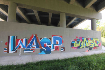 Wasp / Walls