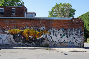 Montreal / Street Art
