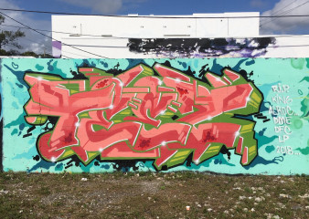 TEEZ / Miami / Walls