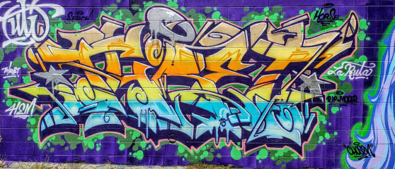 ThretSki / San Diego / Walls