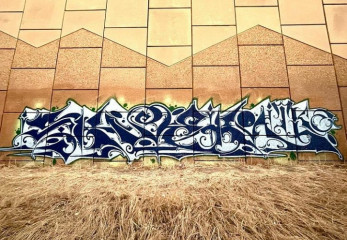 Shoe / Denver / Walls