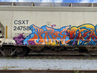 Ripes / West Palm Beach / Freights