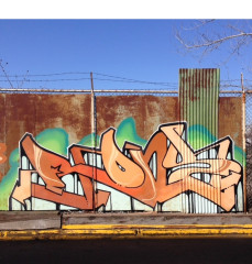 Rons / Toronto / Walls