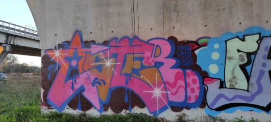Aster / Walls