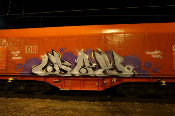 Doe / Trains