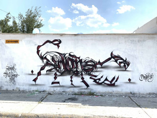 Dones / Monterrey / Walls