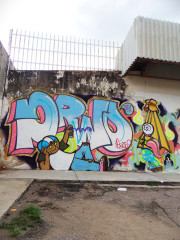 Drino / Walls