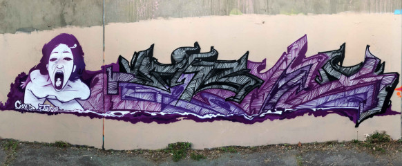 Erax / Walls