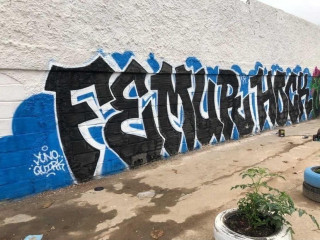 Femur / Fort Lauderdale / Walls