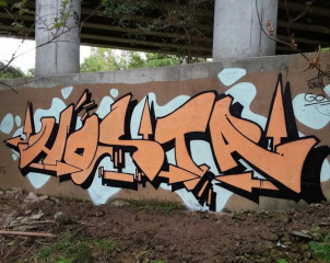 Hosta / Walls