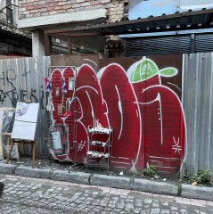Kaos / İstanbul / Walls