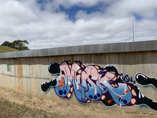 Musk / Adelaide / Walls