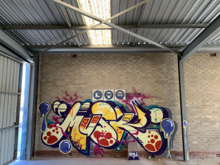 Musk / Adelaide / Walls
