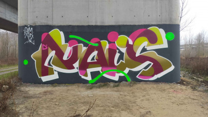 Nais / Bologna / Walls