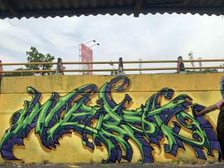 Nebster / Walls