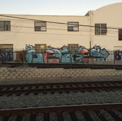 Nekoes / San Diego / Walls