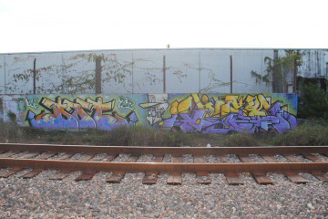 Vice, Terms, Dot / Miami / Walls
