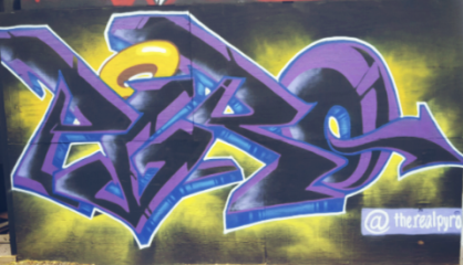 Pyro CMS / Boca Raton / Walls