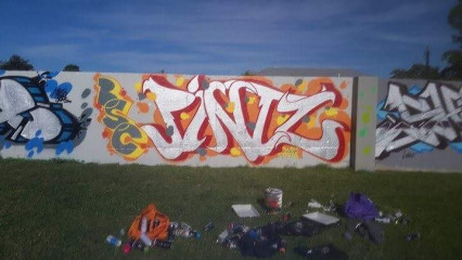 Pintz / Newcastle / Walls