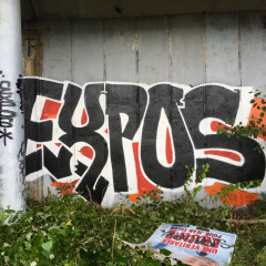 Expos / Québec City / Walls