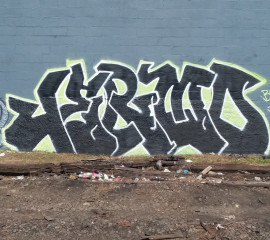 jermo / Baltimore / Walls