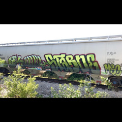 Starve / Tampa / Freights