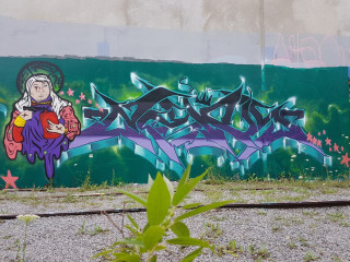 Zen / Ottawa / Walls