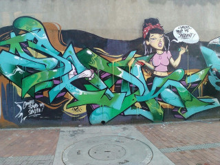 SEDK / Bogotá / Walls