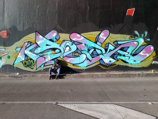 SEDK / Bogotá / Walls