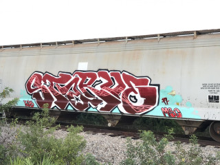 starve / Tampa / Freights