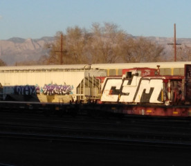 Whyoh Arte CYM / Albuquerque / Freights