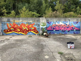 Hams werk tfg / Albany / Walls