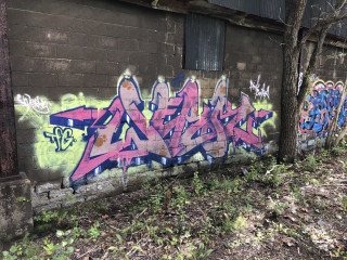 Werk tfg / Albany / Walls
