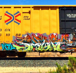 Shewp / Denver / Freights