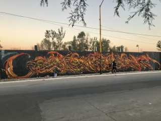 Asoter / Mexico City / Walls